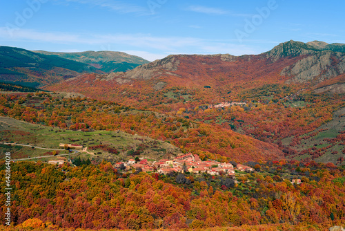 Autumnal beautiful landscape with chestnut trees, oaks and beech trees. La Hiruela, Sierra del Rincon in Madrid