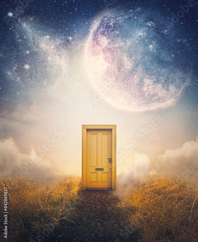 Dreamy scene with a mysterious door on a far away planet, fantastic cosmic sky on the background. Surreal adventure concept, magic teleportation doorway