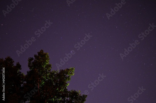 night sky with stars