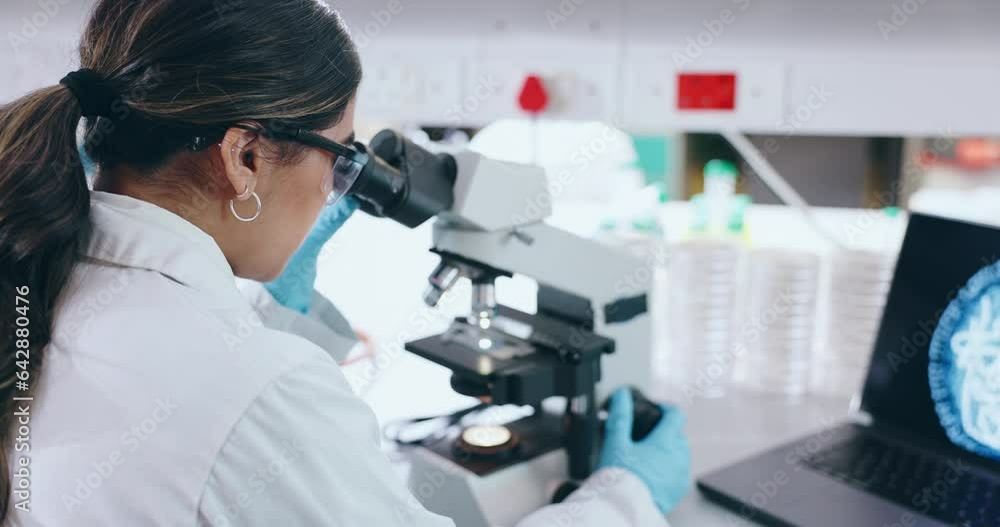 Science, laptop and microscope with a student in a laboratory for research, innovation or medical breakthrough. Medicine, pharmaceuticals and sample study with a scientist working in a biology lab Science, laptop and microscope with a student in a laboratory for research, innovation or medical breakthrough. Medicine, pharmaceuticals and sample study with a scientist working in a biology lab