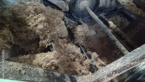 The extracted sugarcane bagasse moves onto the conveyor after being pressed, ready for further processing in the factory.