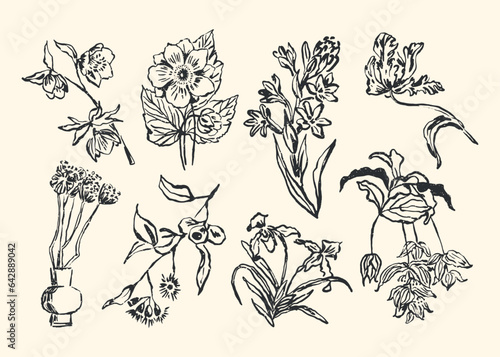 Abstract boho style botanical vector illustrations for your wall art gallery