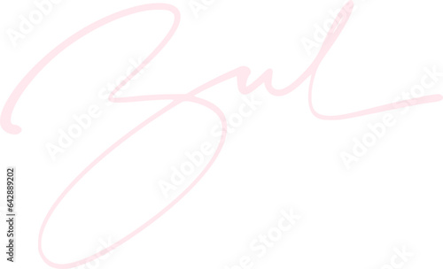 signature lettering alphabet design illustration