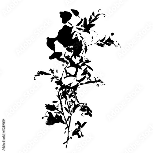 Plant imprint. Black silhouette of herbal element on white background. Vector botanical detail.