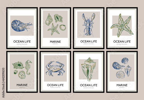 Bohemian vector poster design collection with marine illustrations