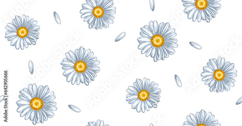 Chamomile flowers seamless white background © Julia