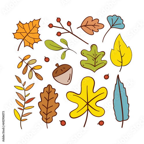 Hand Drawn Autumn Leaves Collection