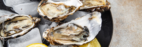 oyster seafood fruit de mer fresh meal oysters food snack on the table copy space food background rustic top view 