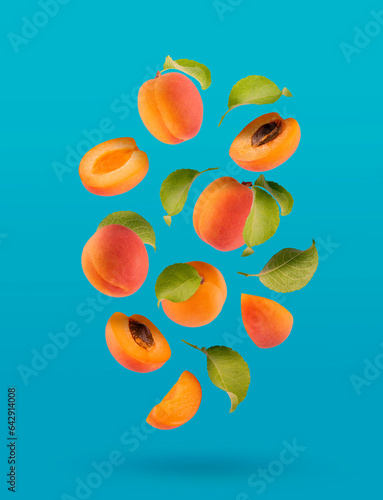 Fresh orange apricot, pink side, green leaves as flow fly or fall as art composition. Whole, half, piece fruits on satureted warm blue background. Summer fruits for advertising, design, label product. photo