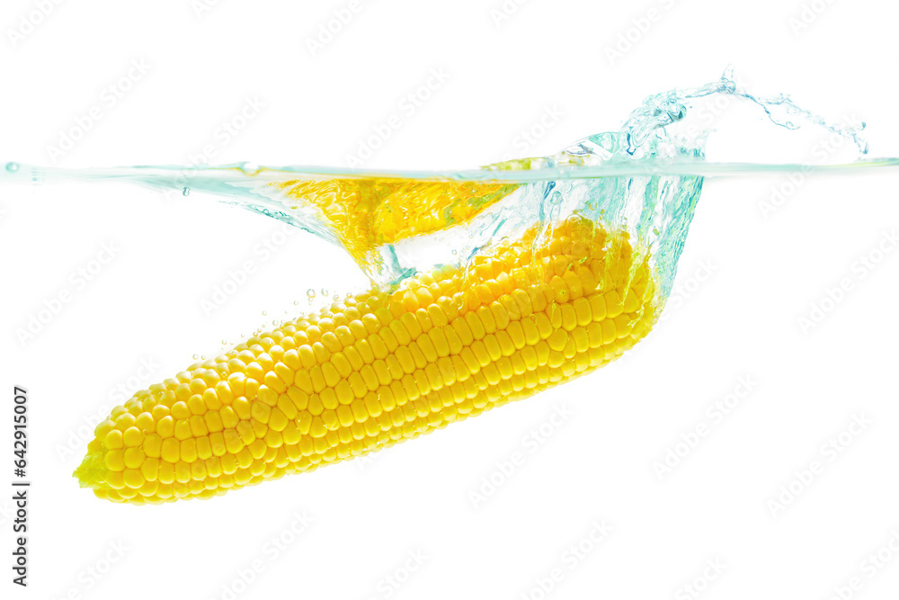 Husked Corn Cob Dropped in Water with Splashes Husked Corn Cob Dropped in Water with Splashes
