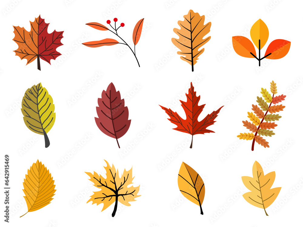 leaves plant colorful and elements for autumn season on white background.