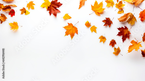 Leaves in warm fall colors like orange  yellow  brown and red. Isolated on a white background. Concept of fall season.