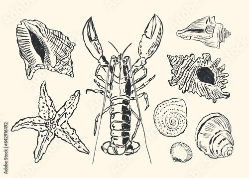 Vector hand drawing nautical elements illustration collection