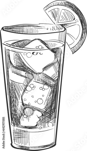 Fresh drink glass with lemon slice and ice cubes sketch