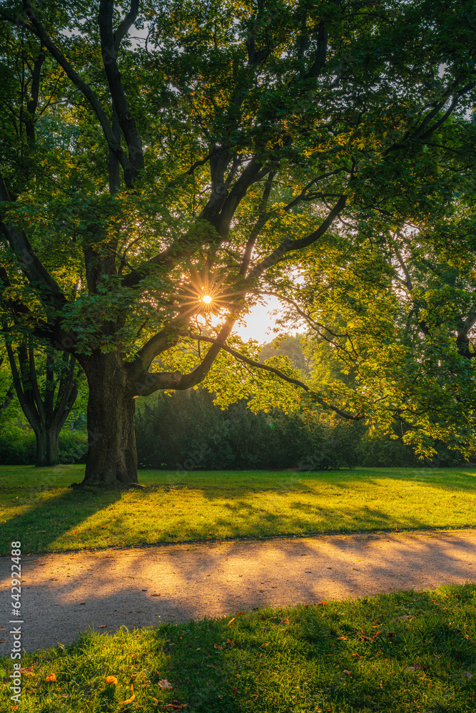 Zachód słońca w miejskim parku w Warszawie 