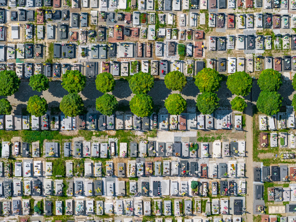 Cemetery with green tree alley, view from the air.