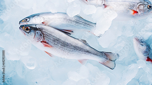 Fresh raw cod fish on ice. Seafood background. Generative AI photo