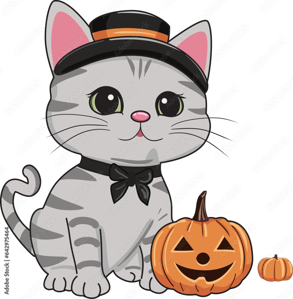 Obraz premium cute Halloween fat gray tabby cat, pumpkin trick or treat vector illustration
