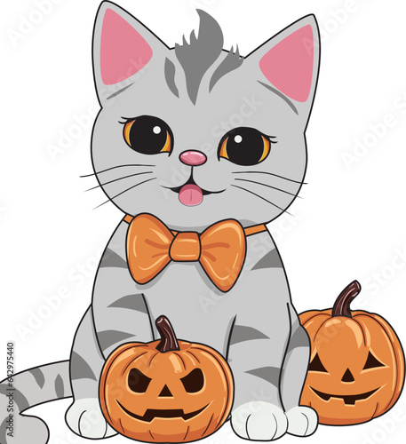 cute Halloween fat gray tabby cat, pumpkin trick or treat vector illustration