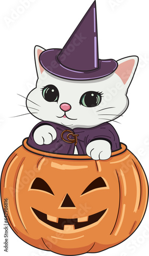 cute Halloween fat white cat in witch costume, pumpkin trick or treat vector illustration