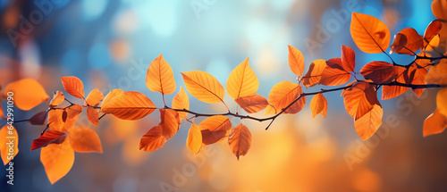 Autumn background with blur and leafs