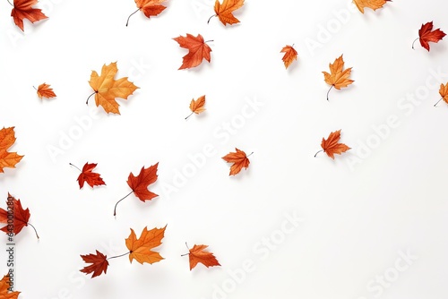 White background with falling November pattern representing autumn leaves and the Thanksgiving season