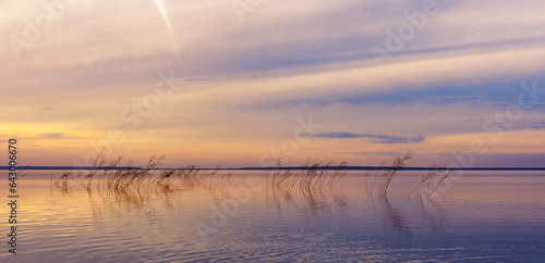 Colorful sky and water surface on lake at sunset, blue yellow pastel color clouds. Nature abstract banner with wild reeds and clouds reflections on water, beauty in nature, summer scenery