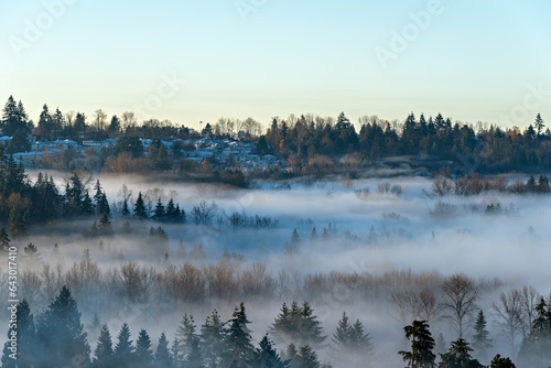 Residential houses in suburban of Vancouver on early morning winter day