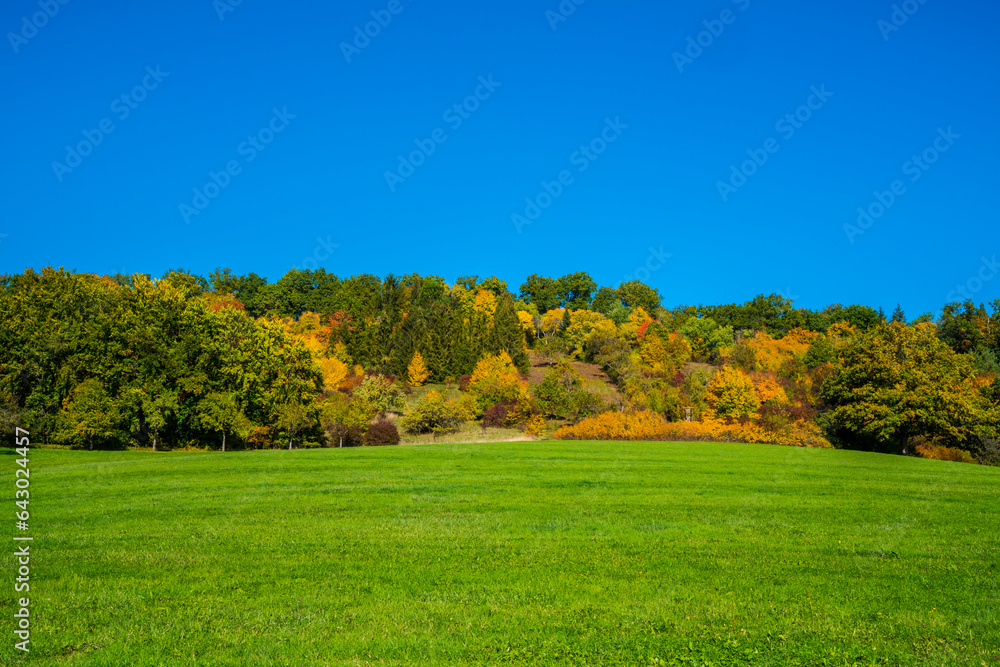 Germany, Autumn colorful trees at the edge of the forest blue sky beautiful atmosphere in nature landscape hiking place behind green meadow