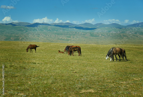 Son Kul mountain lake