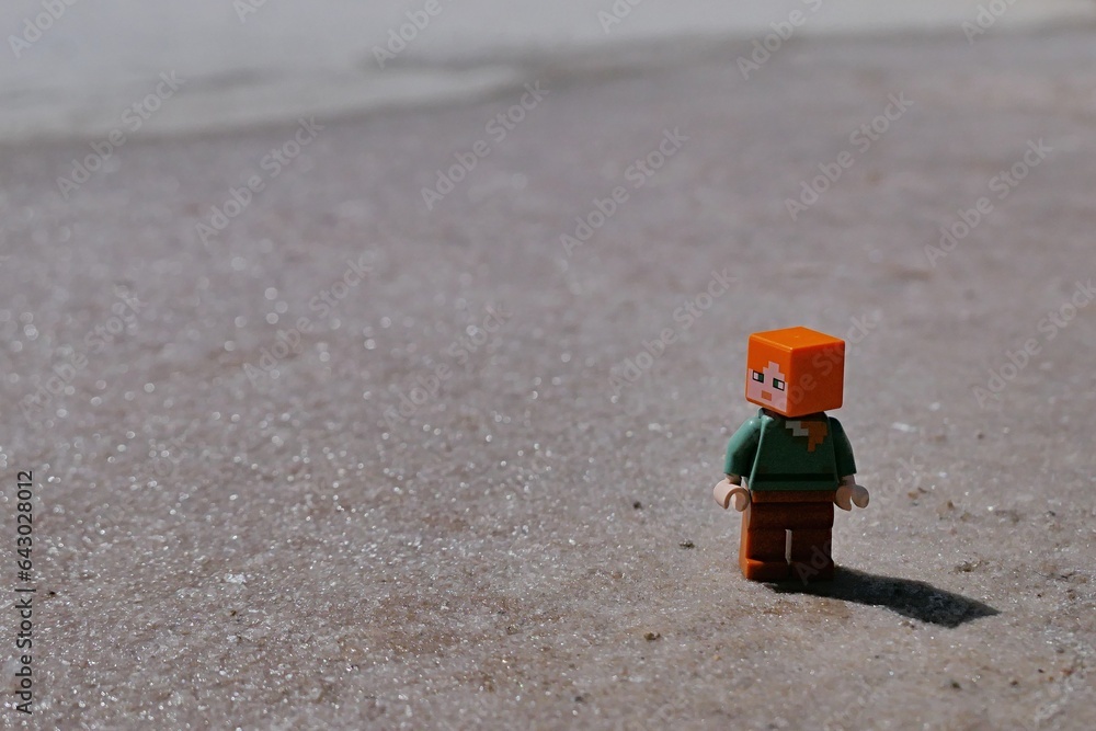 Obraz premium LEGO Minecraft figure of Alex standing on crystallic salty field, remains of fifth stage of sea salt production, looking left. 