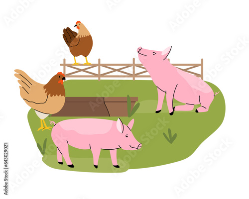 Pigs and hens feeding. Pig and hen eating from trough. Hand drawn funny contemporary drawing farm animals. Rural landscape. Bird and mammal, green grass, cartoon flat vector illustration