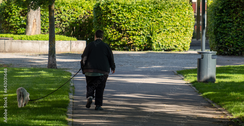 Naklejka premium Person walking dog on an early summer morning