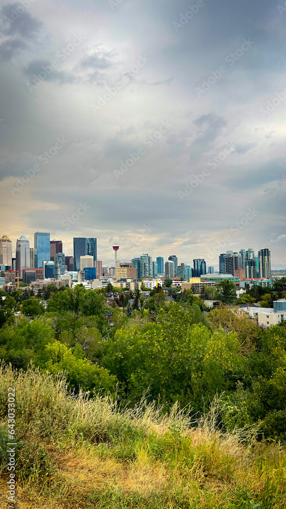 Panoramic view of the city. Public park and high-rise buildings cityscape in metropolis city center . Green environment city and downtown business district in panoramic view .