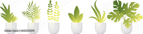 Houseplants. Set of indoor exotic plants. Plant for home and interior. Home plants in a flower pot.