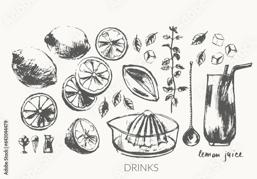 Hand drawn lemon citrus fruit whole, half and slice and mint illustratio
