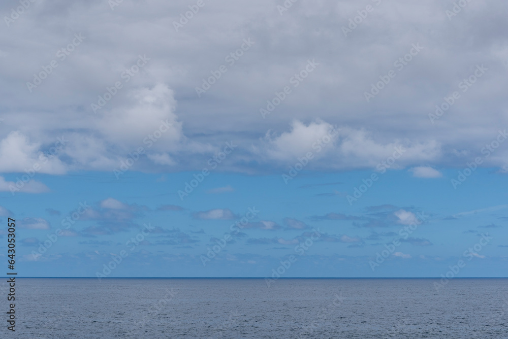 custom made wallpaper toronto digitalmadeira