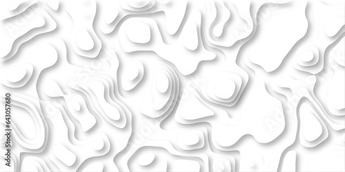 Abstract wavy line 3d paper cut white background. Topographic canyon geometric map relief texture with curved layers and shadow. paper cut 3d render topography abstract ,beautiful white color.