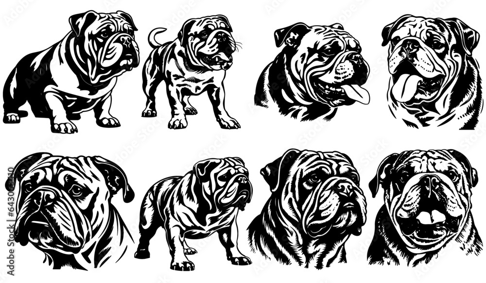 Vector silhouettes of the British Bulldog breed Vector silhouettes of the British Bulldog breed