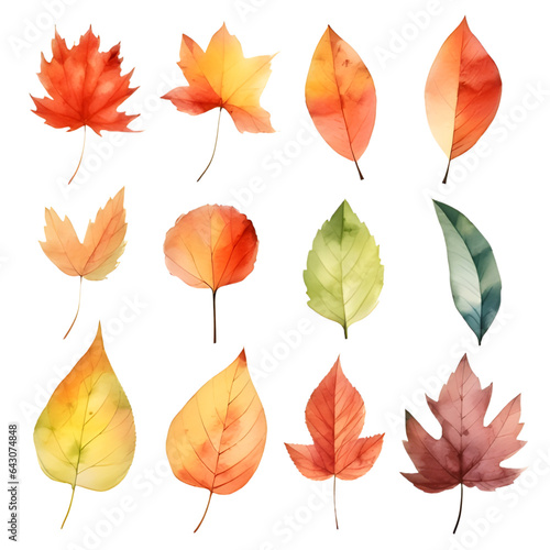 Watercolor painting Realistic Autumn natural leaves set botanical on white background.