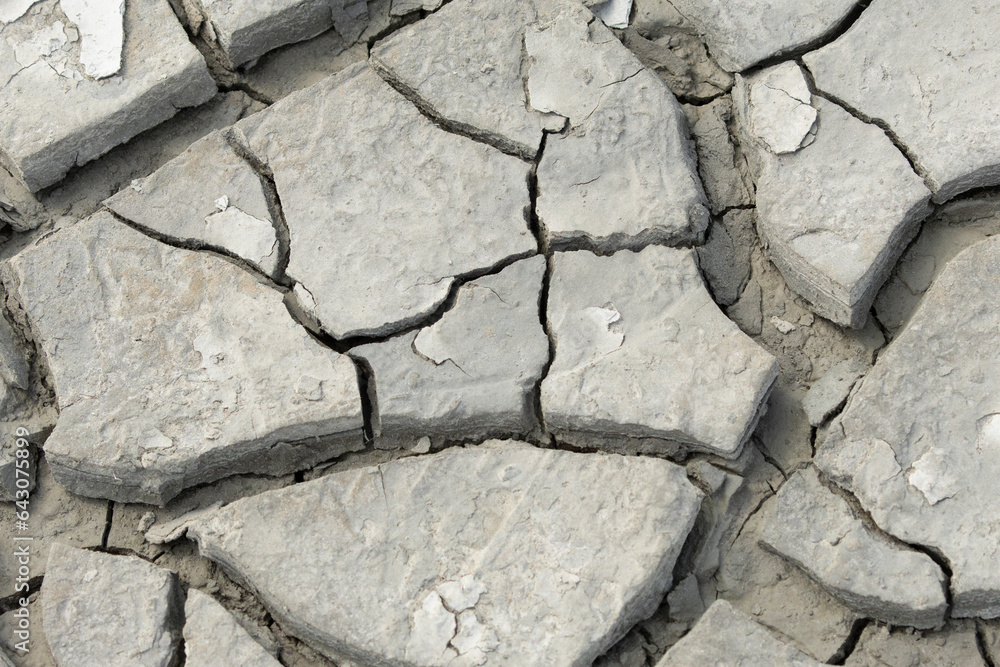 Obraz premium Mud cracks in close view on a shore in Normandy