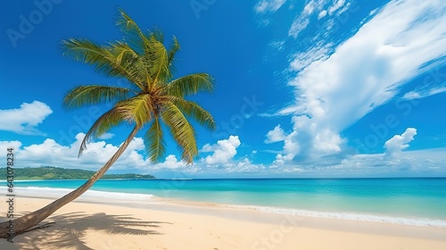 Seascape tropical beach with white sand and palm tree leaning towards turquoise water of ocean on bright hot sunny day. Blue sky with clouds. Summer vacation.
