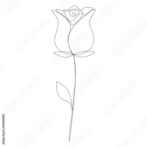 Linear rose drawn. Continuous line drawing flower. Vector illustration isolated on white.