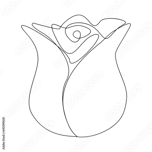 Linear rose drawn. Continuous line drawing flower. Vector illustration isolated on white.