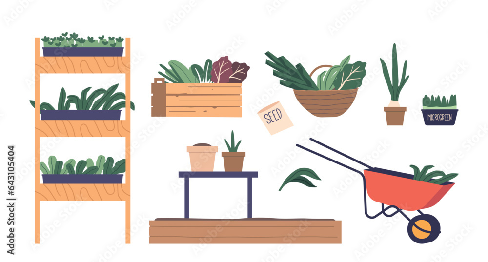 Set Of Icons Microgreens, Greens And Fresh Salads Growing On Shelf Or Rack, Trolley, Wooden Box And Basket Set Of Icons Microgreens, Greens And Fresh Salads Growing On Shelf Or Rack, Trolley, Wooden Box And Basket