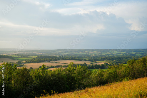 View over English countryside in the summer evening sun
