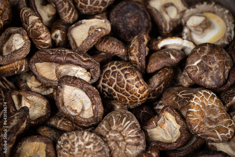 dried mushrooms have a more concentrated earthy, woodsy, umami flavor