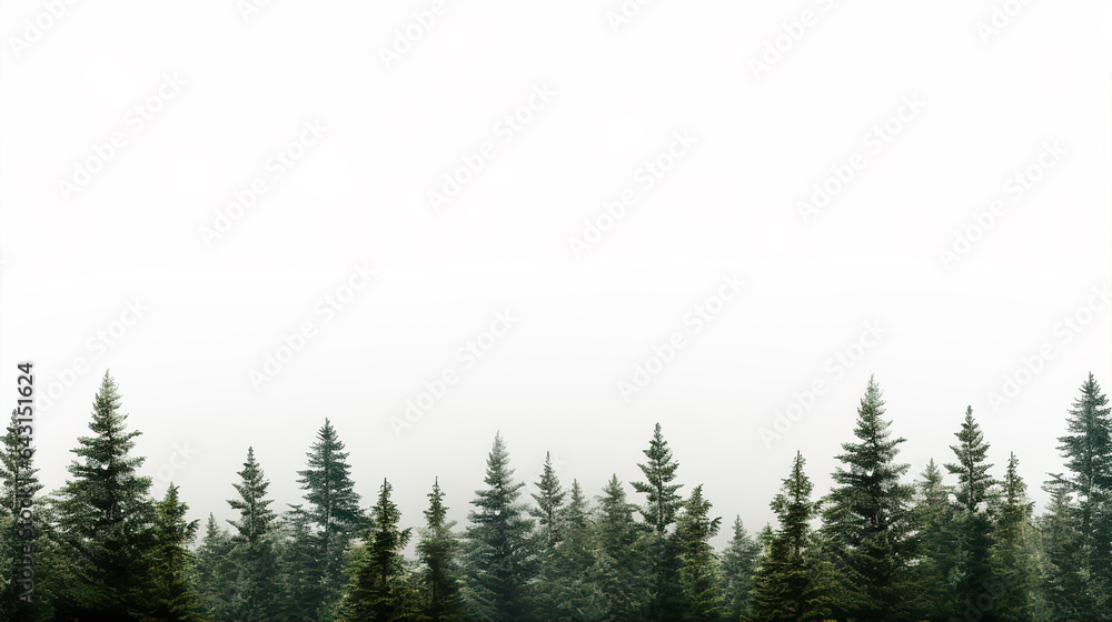 Green Evergreen Fir Pine Spruce Trees Treeline Isolated White Christmas Background. - obrazy, fototapety, plakaty 