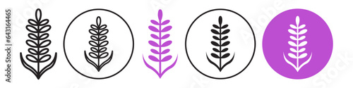 Lavender icon. purple color lavender plant leaf for wedding decoration symbol. Vector set of violet cosmetic product floral flower stem. Flat outline of lavender branch drawing