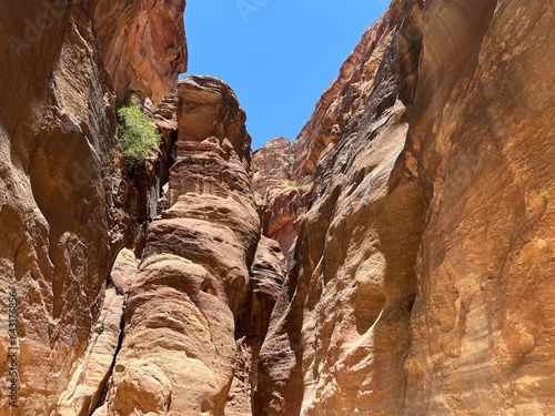 Summer trip to Jordan. Petra.